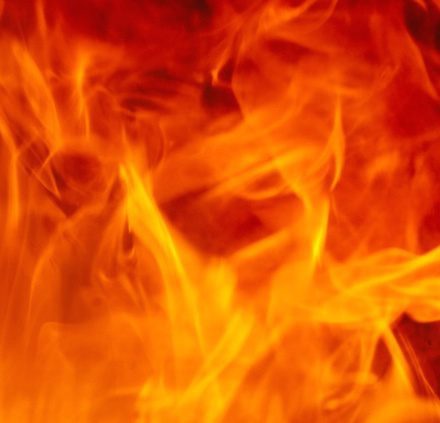 Warning: This Story is Inflammatory:  the Relationship Between Diet, Inflammation, and Overall Health