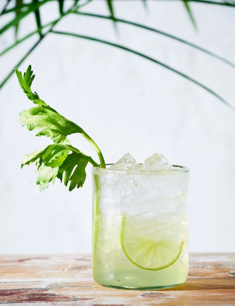 Celery Gin Spritz Gluten-Free Recipe