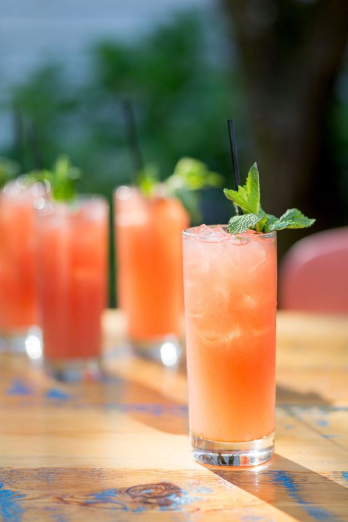 Watermelon–Garam Masala G & Ts