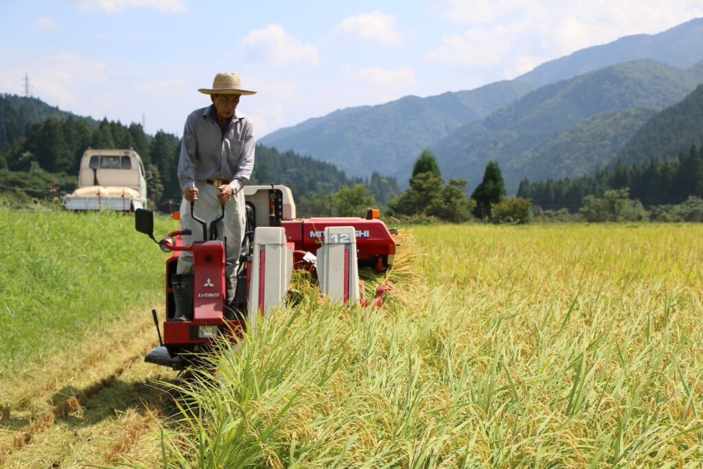 Gluten Free Meister's gluten free ramen noodles are made from non-GMO Japanese rice